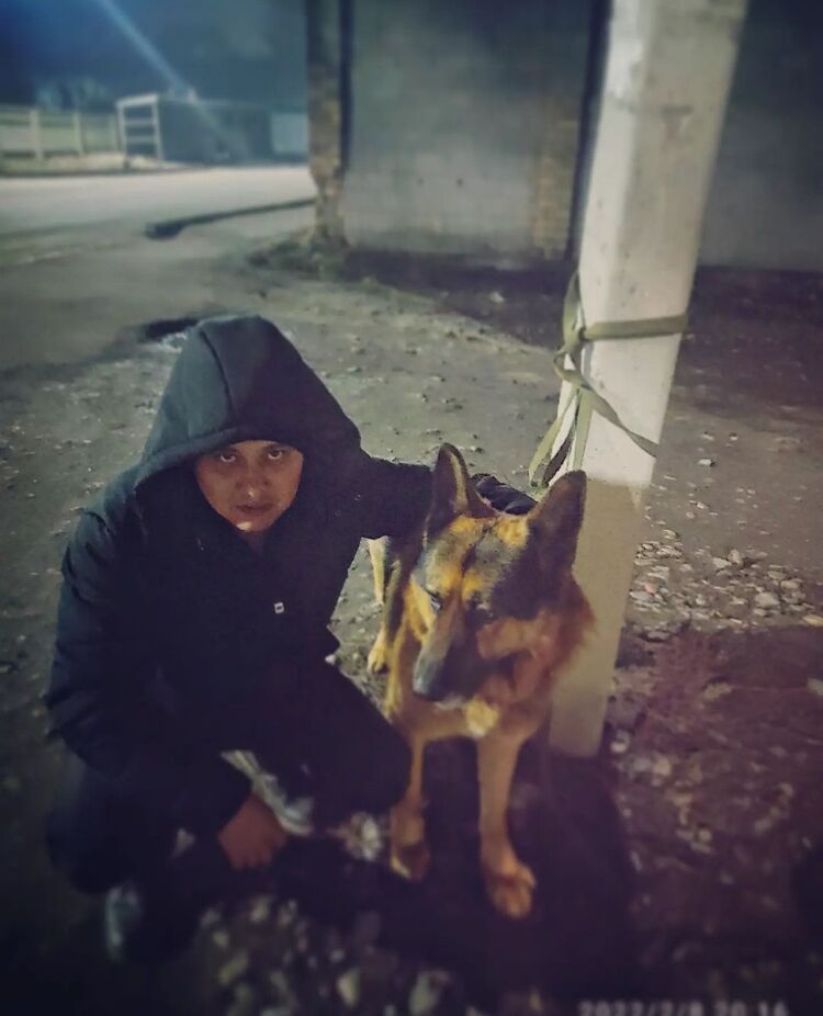 ���� 40641301 ������� ����, 33 ����, ���� ���������� � �������