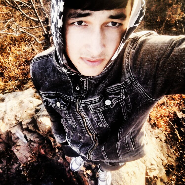 ���� 41775431 ������� Ali, 29 ���, ���� ���������� � ������������