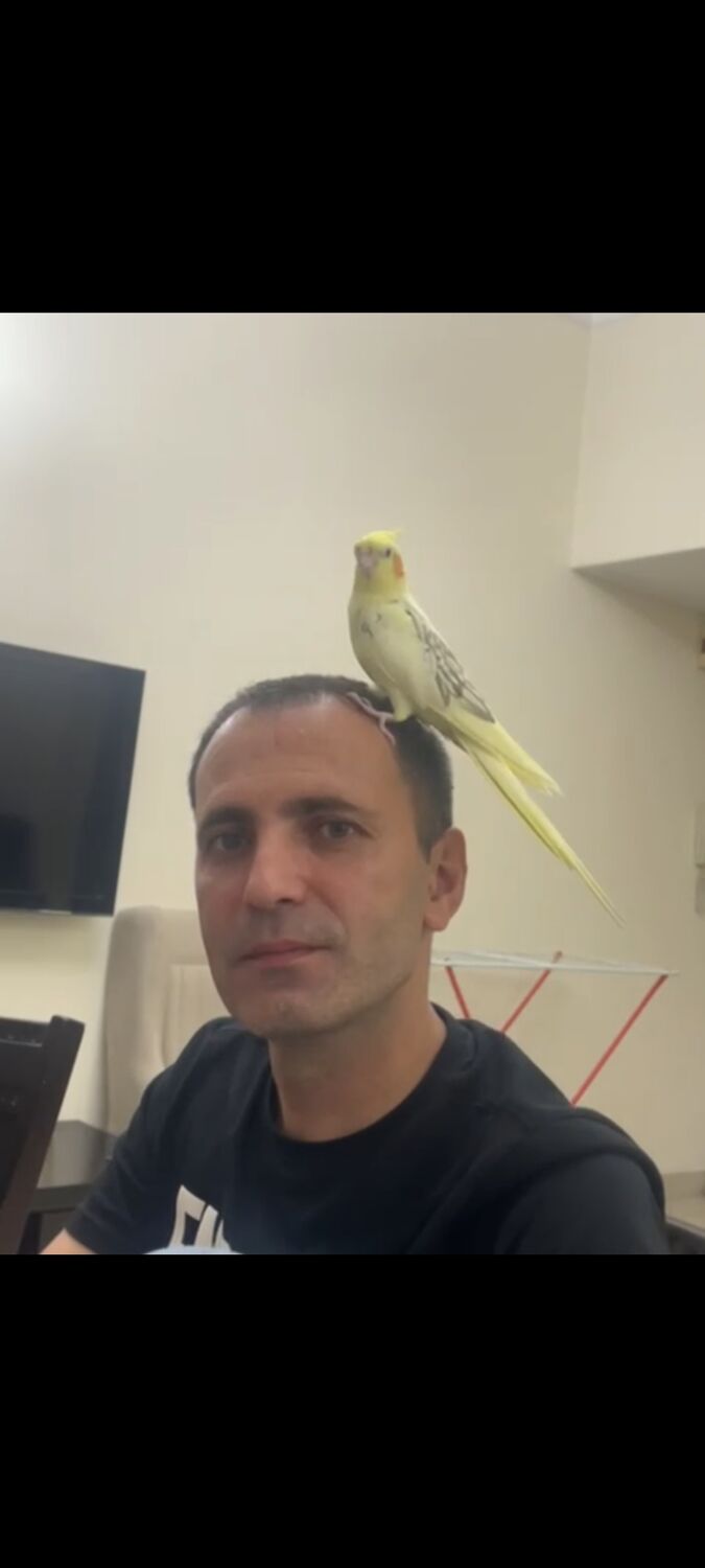  47080881  Dmitry, 42 ,    