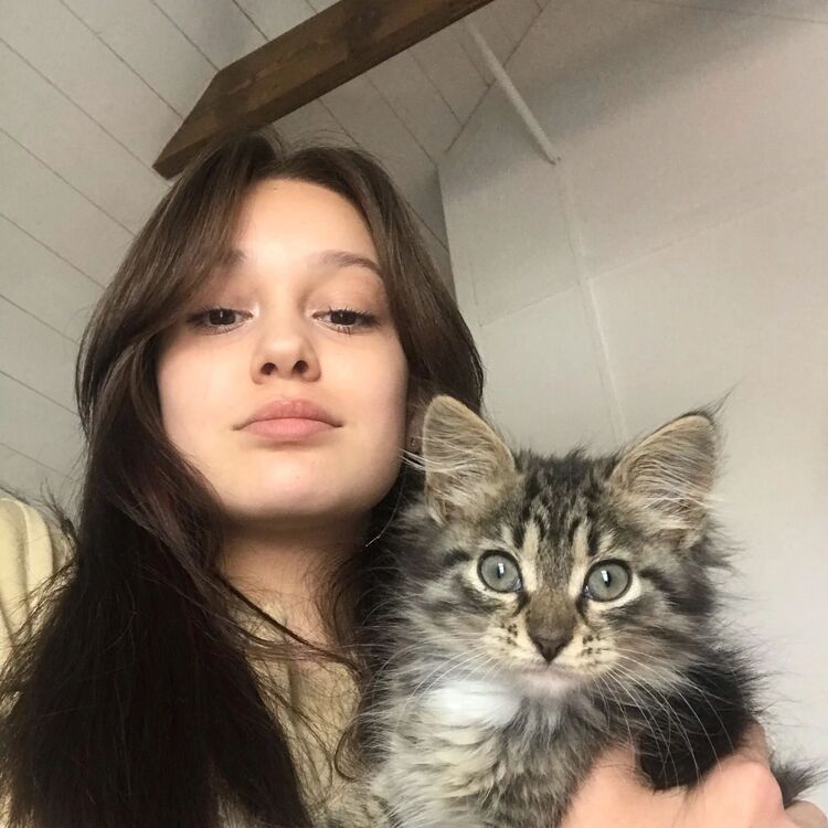 ���������� ������, ���� ������� �����, 23 ����, ������������ ��� ������, ����� � ���������