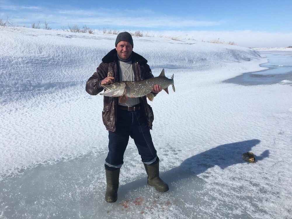 ���������� ��������, ���� ������� �������, 43 ����, ������������ ��� ������, ����� � ���������, c�������� ���������, ���������