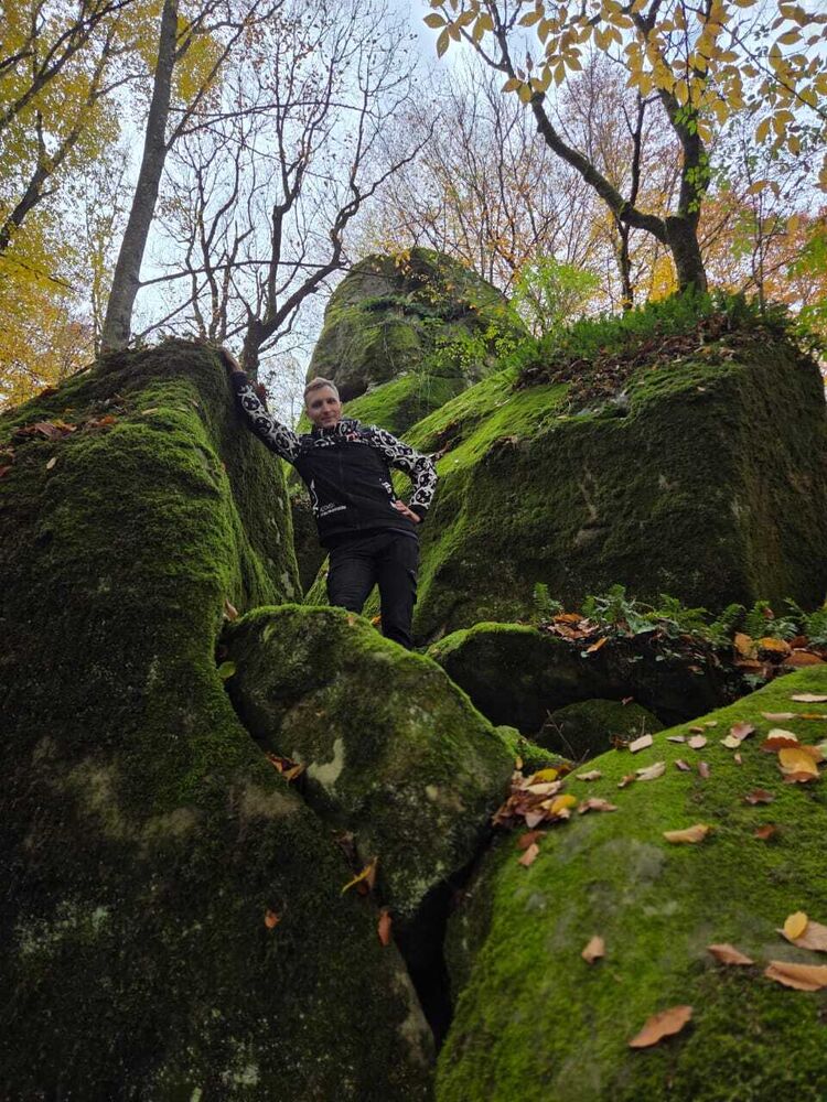 ���� 54964711 ����� �������, 25 ���, ���� ���������� � ����������