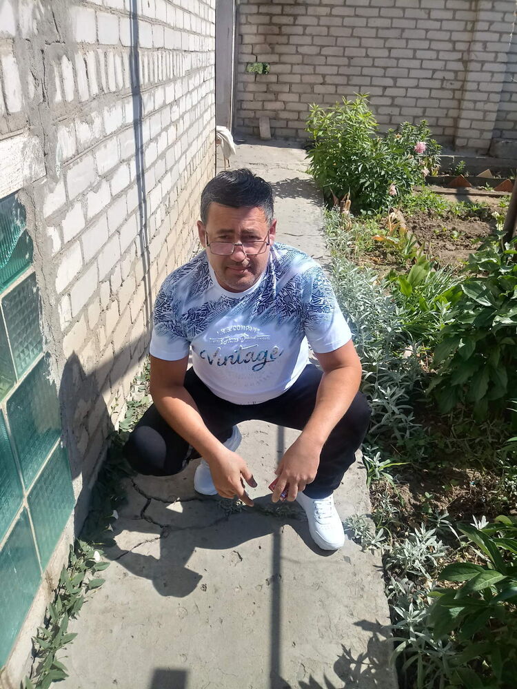 ���� 25785991 ������� �����, 51 ���, ���� ���������� � ����������