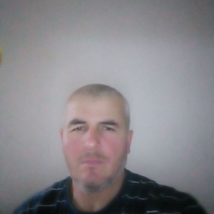 ���� 31427721 ������� �����, 46 ���, ���� ���������� � �������������