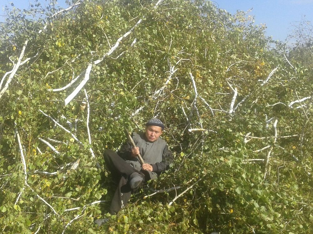 ���� 5185731 ������� �����, 45 ���, ���� ���������� � ��������������