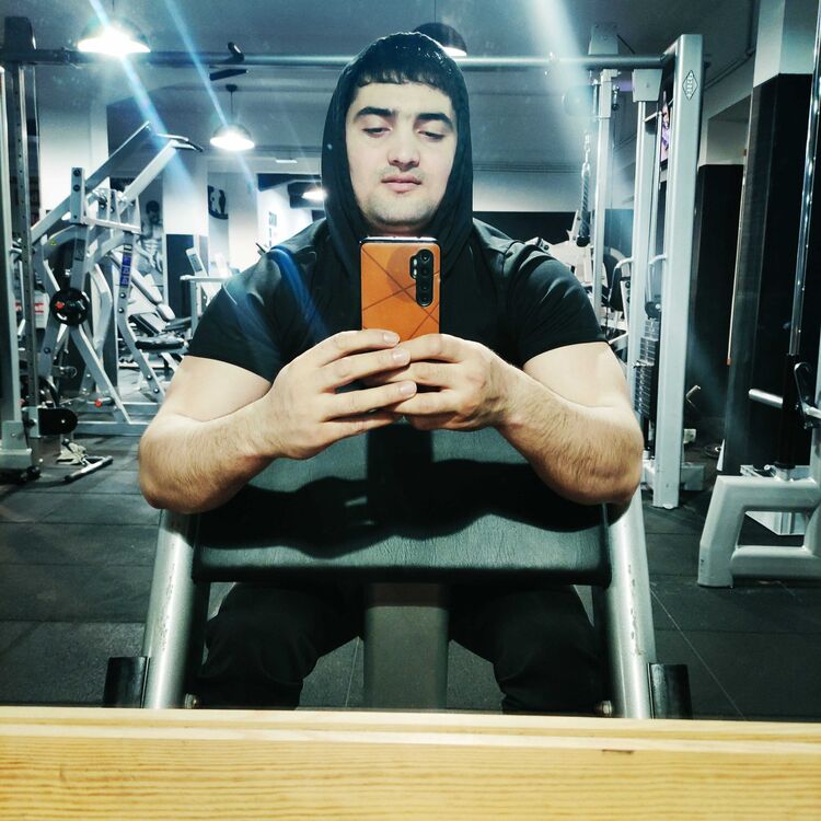  33866491  , 26 ,    