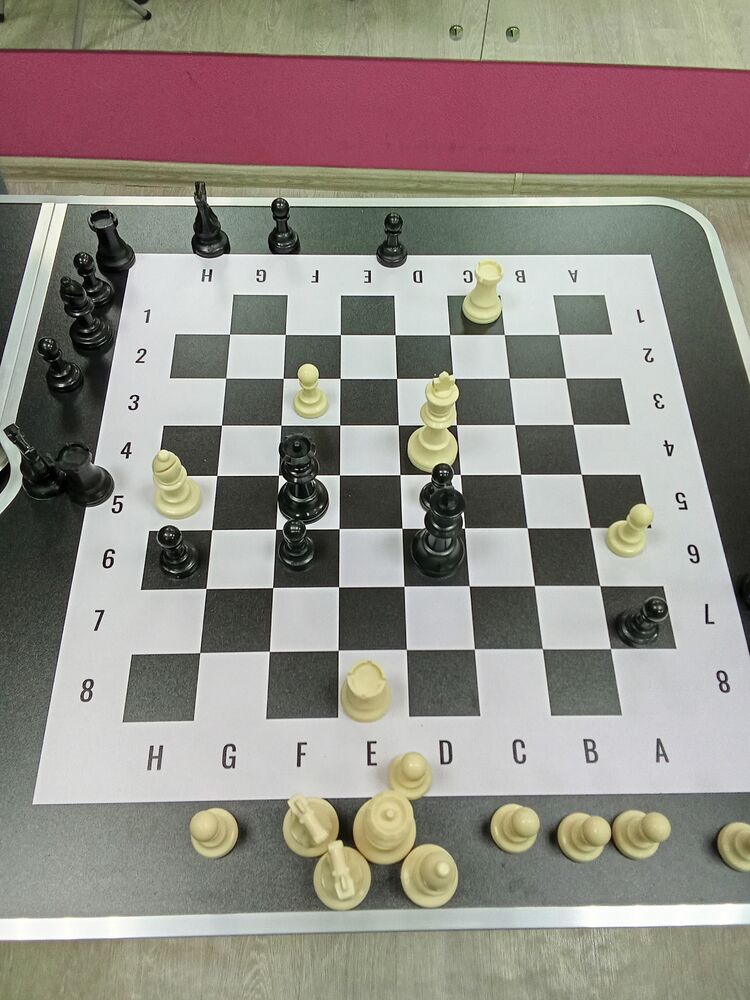 ���� 49827101 ����� �������, 24 ����, ���� ���������� � ��������