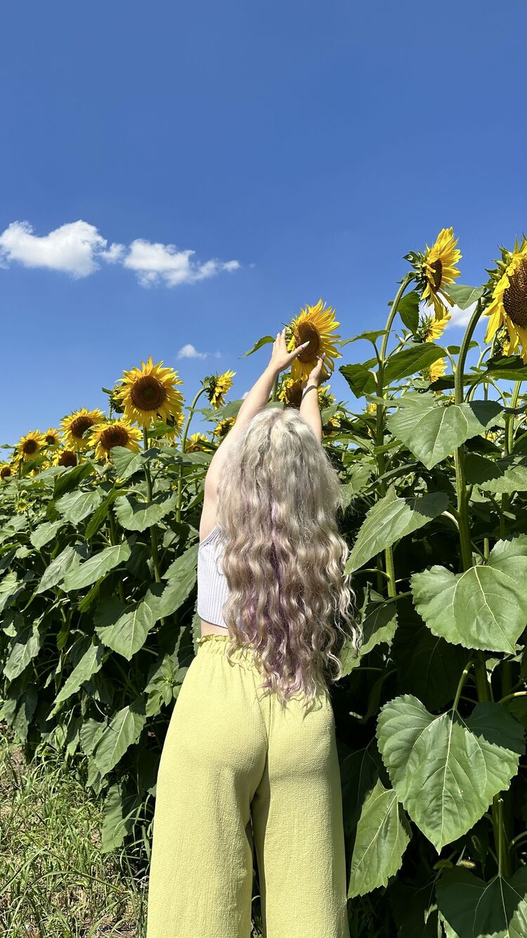 ���������� ������, ���� ������� ����������, 21 ���, ������������ ��� ���������