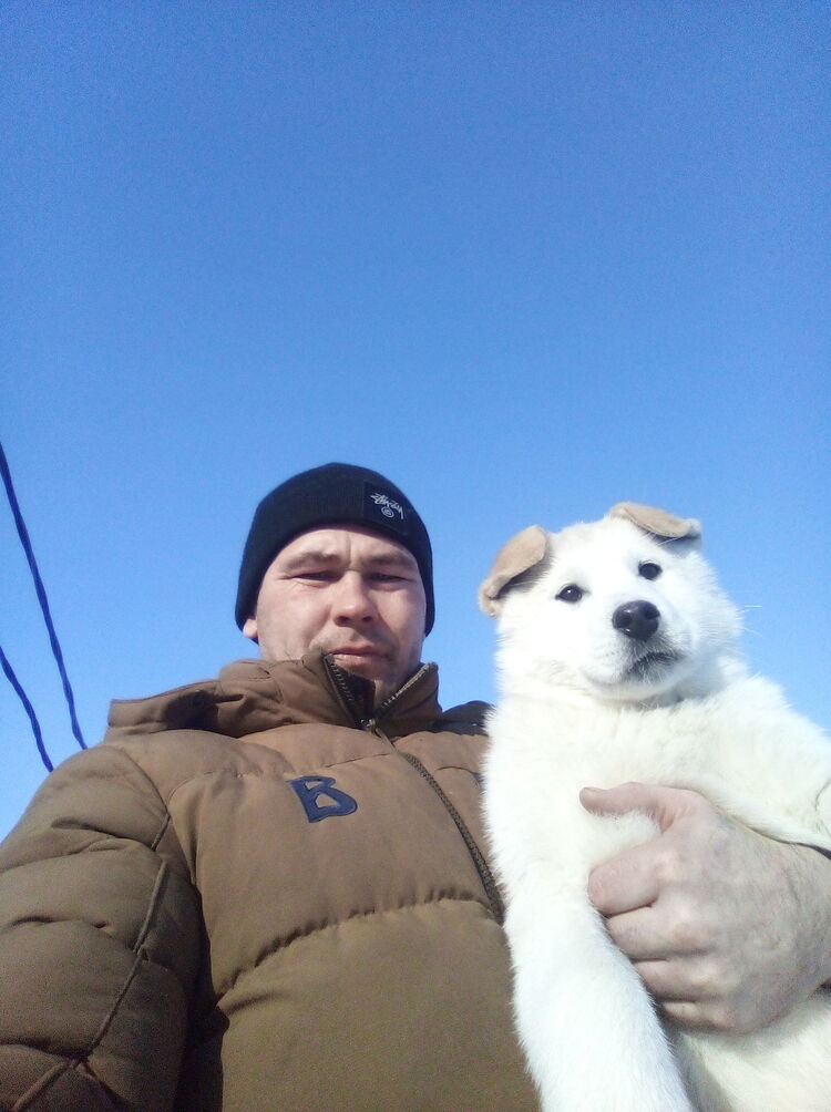 ���� 23208431 ������� �����������, 38 ���, ���� ���������� � ������-���