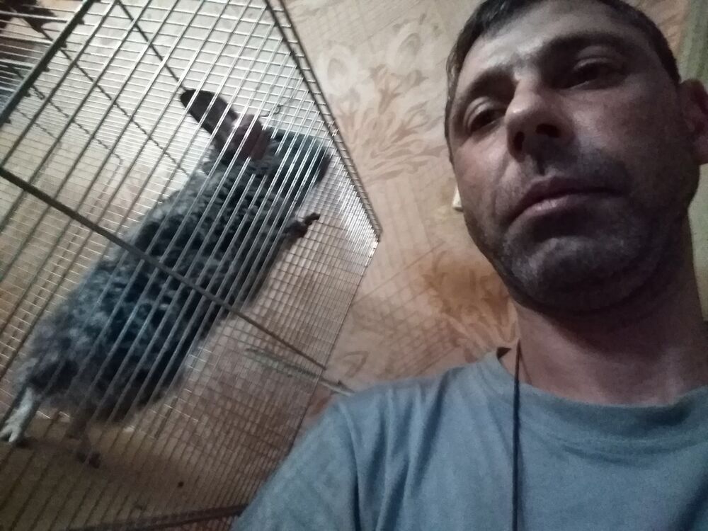  ,   , 45 ,   ,   , c 