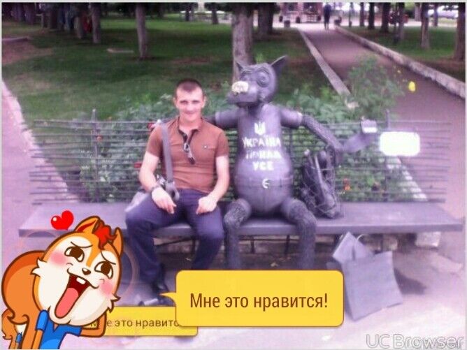  8604561  , 40 ,    
