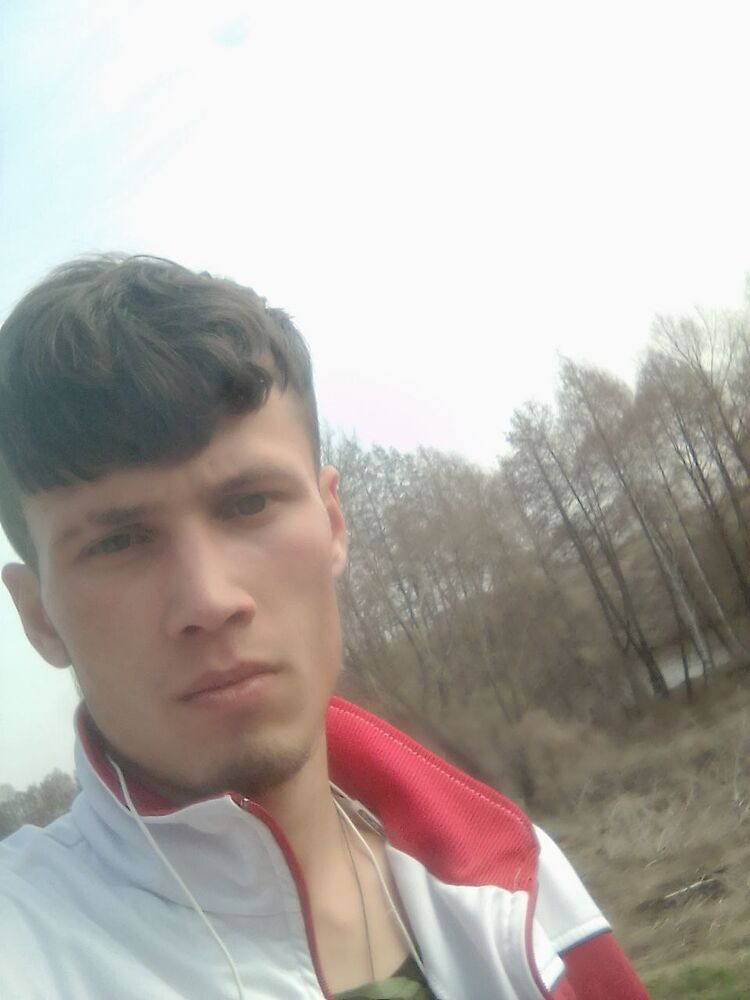  31330061  , 24 ,    