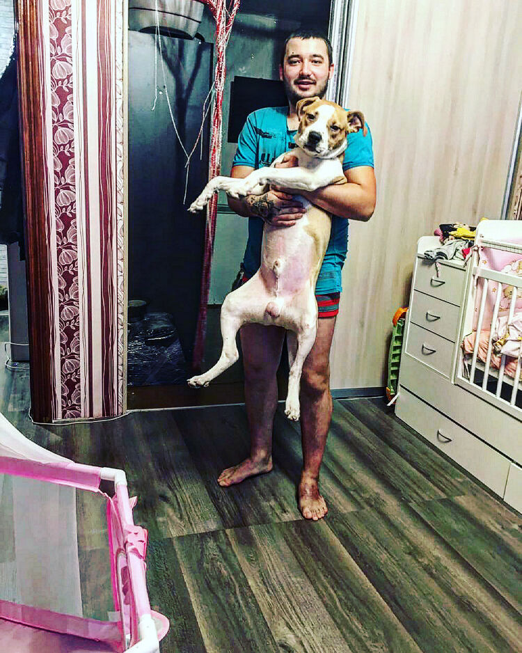 ���� 31034141 ����� �����, 25 ���, ���� ���������� � ������������