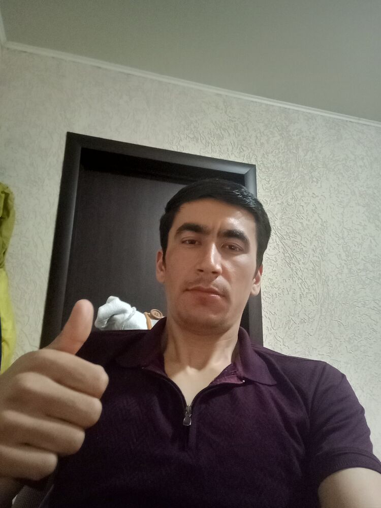  33924051  , 31 ,    