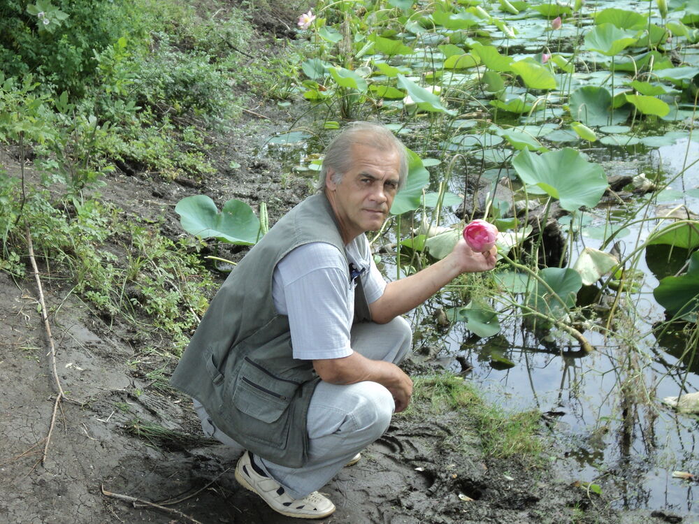  54452601  Strannik, 64 ,    