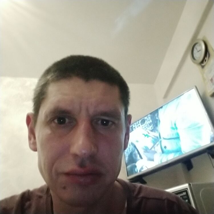  24597841  , 53 ,    