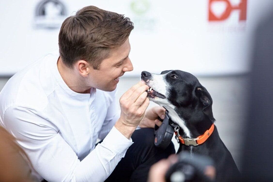 ���������� ���, ���� ������� �����, 36 ���, ������������ ��� ������, ����� � ���������