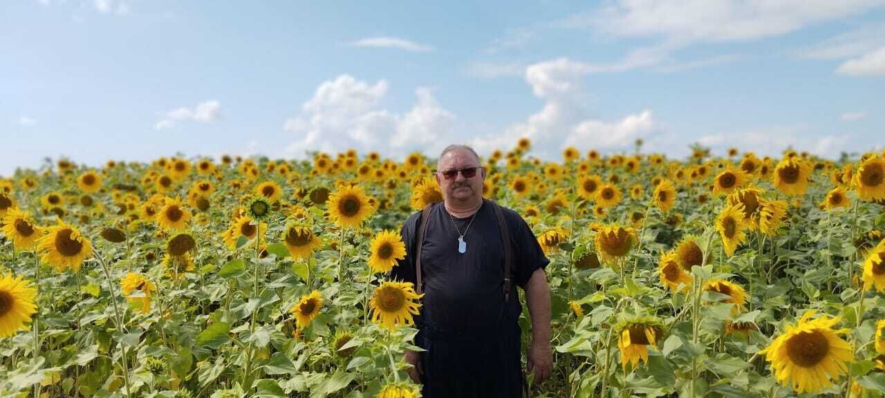 ���� 56061241 ������� ����, 55 ���, ���� ���������� � ������