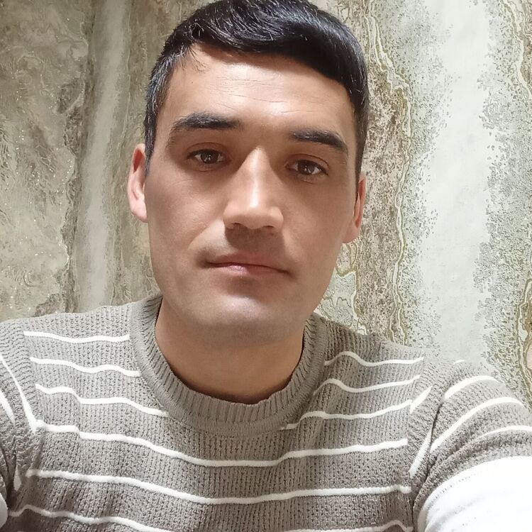  45768471  , 32 ,    -
