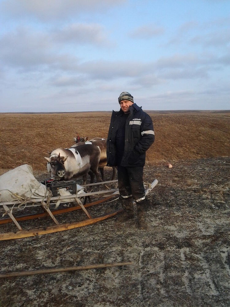 ���������� �����, ���� ������� ������, 46 ���, ������������ ��� ������, ����� � ���������, c�������� ���������, ���������