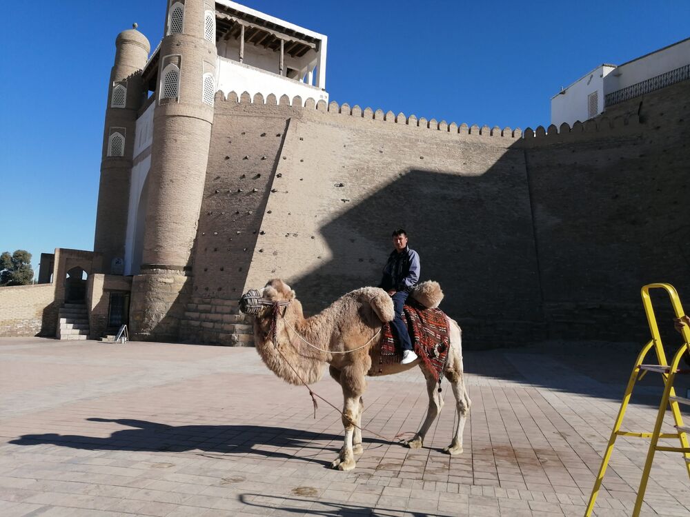 ���������� ������, ���� ������� Alex, 39 ���, ������������ ��� ������, ����� � ���������, ���������