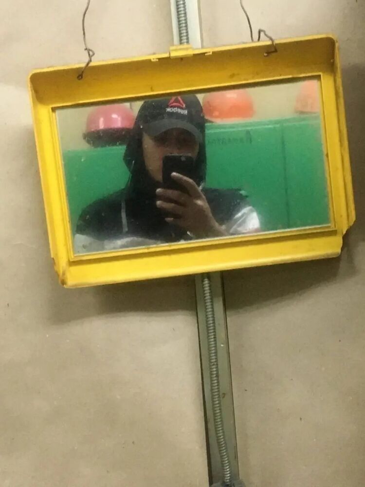  42496801  , 24 ,    