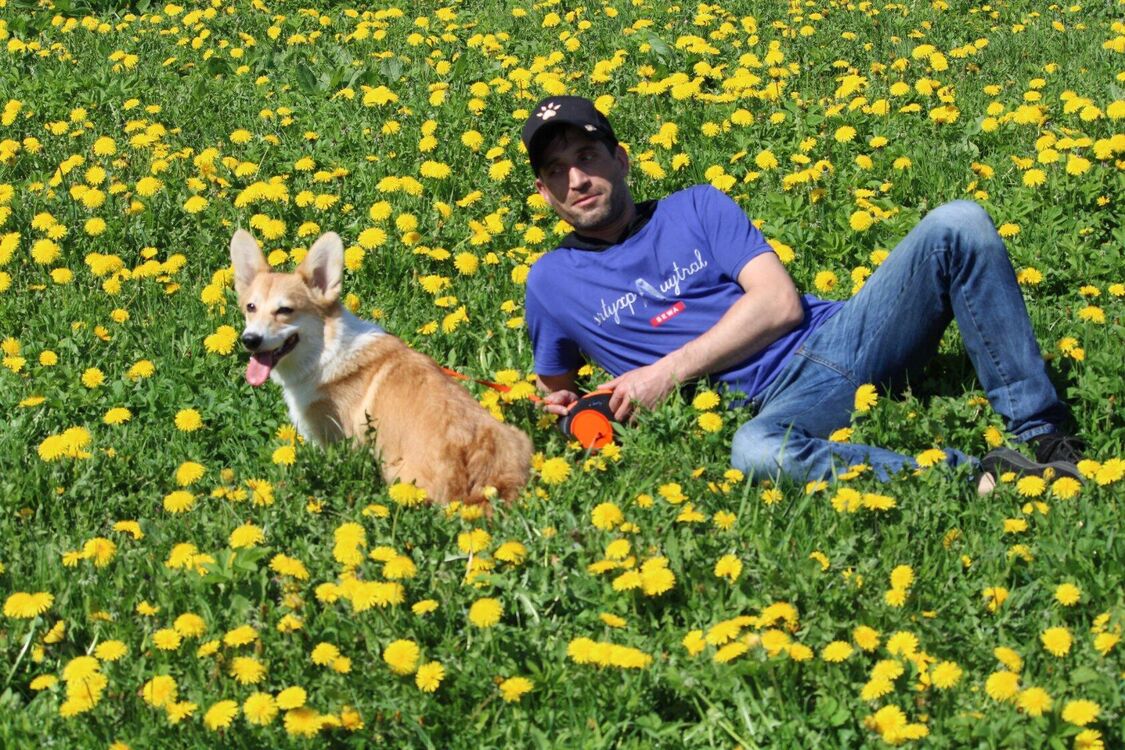 ���������� ����������, ���� ������� �������, 38 ���, ������������ ��� ������, ����� � ���������