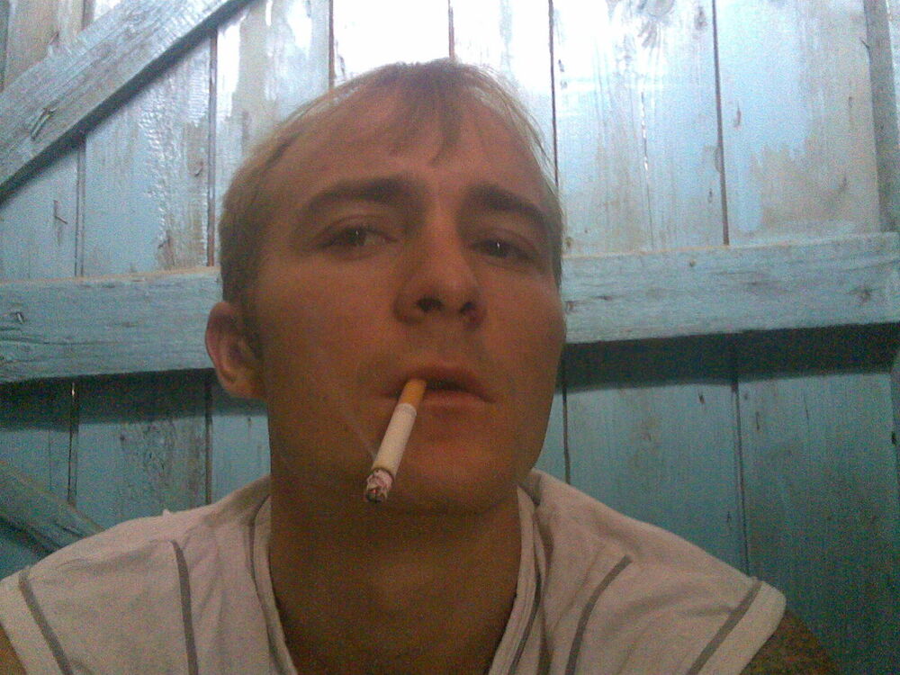 ���� 5336131 ������� �����, 40 ���, ���� ���������� � ������