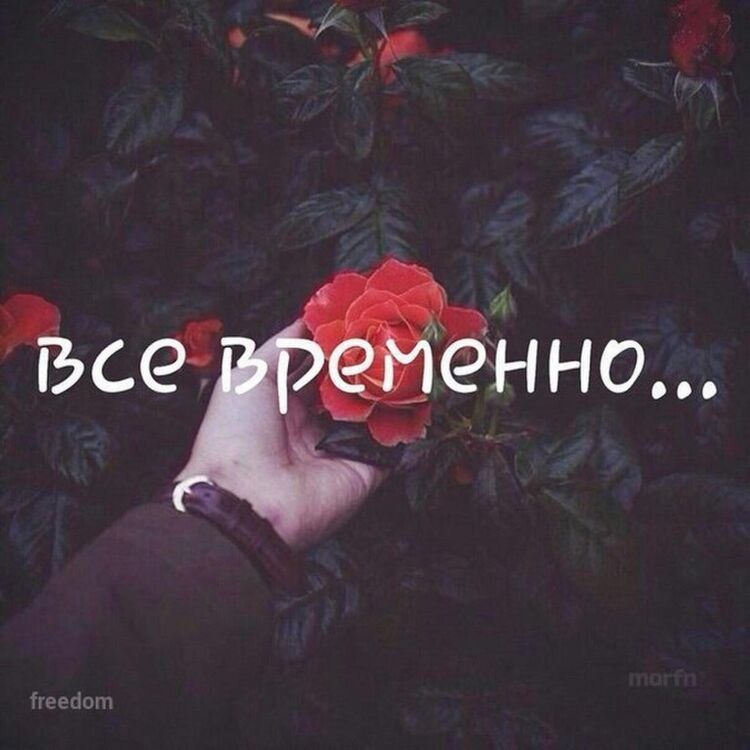 ���� 19260381 ������� �����, 31 ���, ���� ���������� � ������