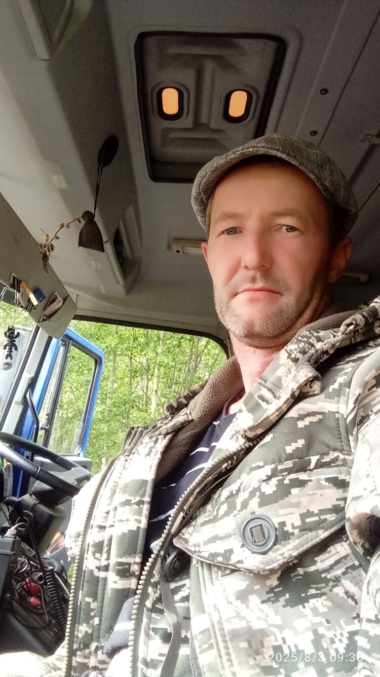  53155831  , 37 ,    -