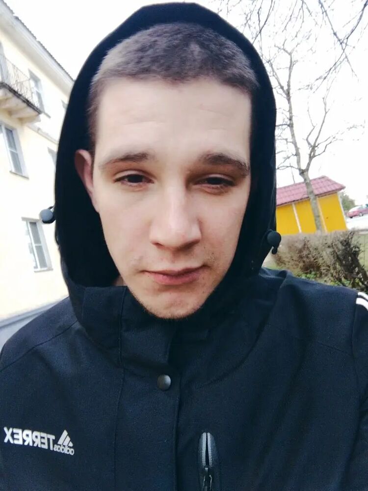  33442881  , 26 ,    