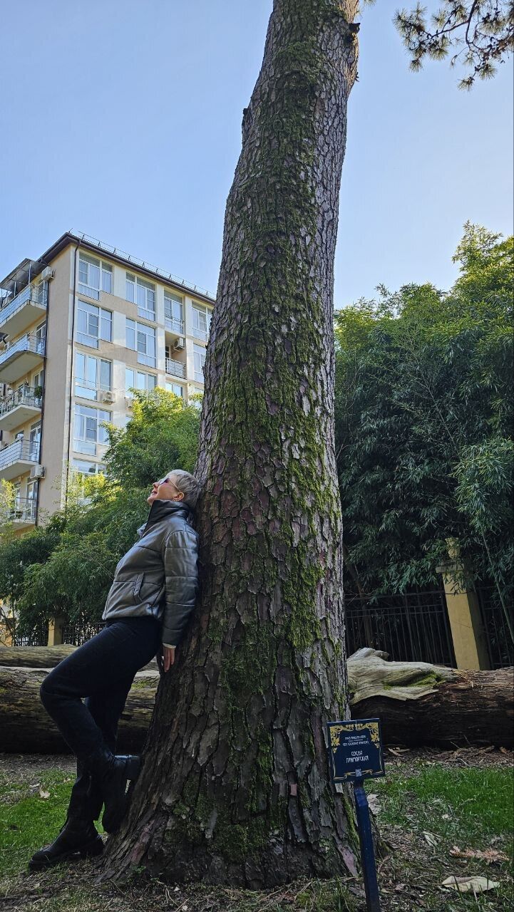 ���� 55221651 ������� �����, 55 ���, ���� ���������� � �������