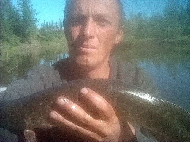 ���������� ��������, ���� ������� ������, 43 ����, ������������ ��� ������, ����� � ���������, c�������� ���������