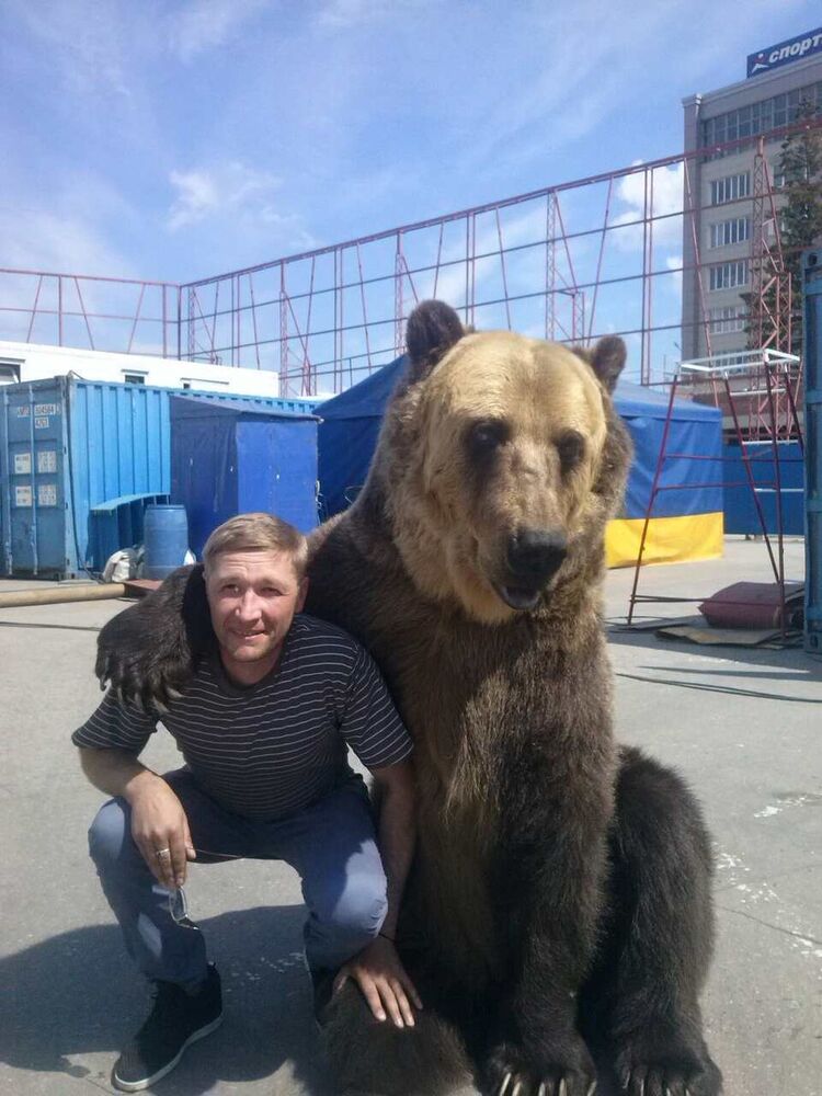 ���� 11468971 ������� Denis, 47 ���, ���� ���������� � �������