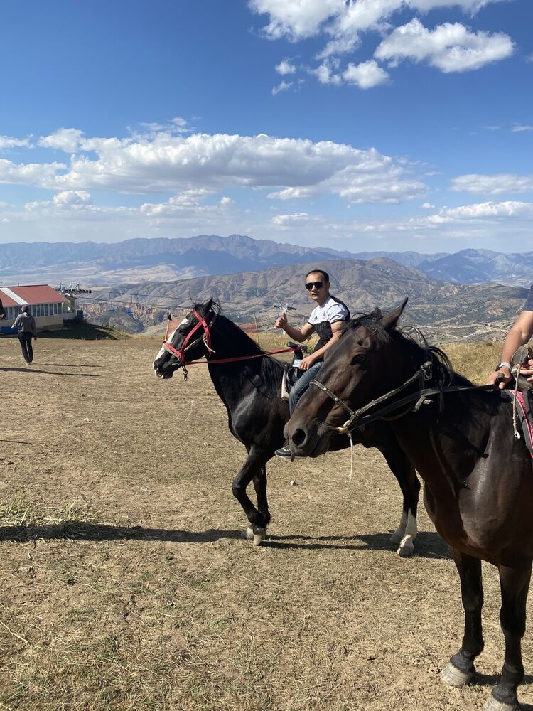 ���������� �������, ���� ������� Alish, 35 ���, ������������ ��� ������, ����� � ���������, c�������� ���������, ���������