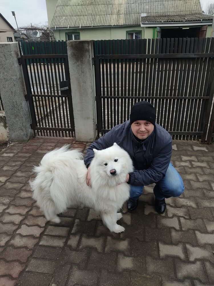 ���������� ���������, ���� ������� ���������, 38 ���, ������������ ��� ������, ����� � ���������, c�������� ���������