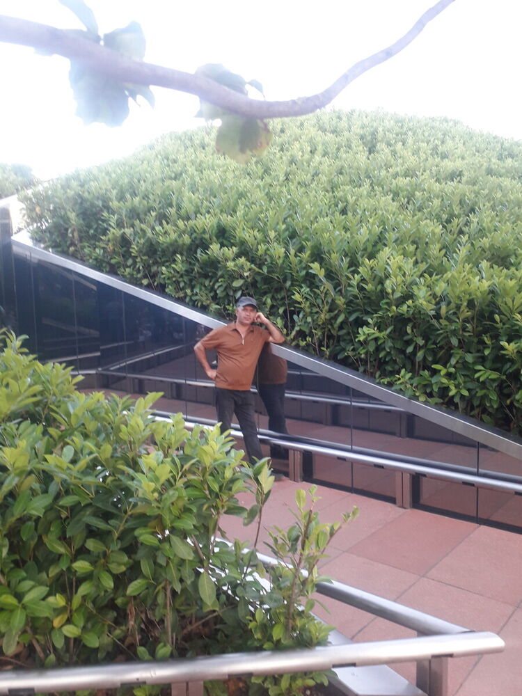 ���������� ���������, ���� ������� ���������, 49 ���, ������������ ��� ������, ����� � ���������, c�������� ���������