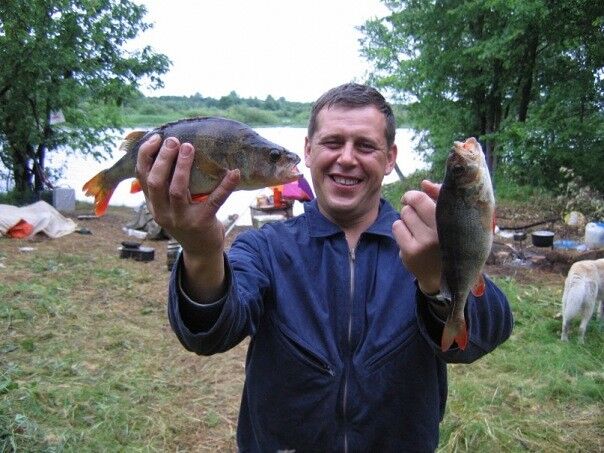 ���� 7182451 ������� ������� 24, 59 ���, ���� ���������� � ������ ���������