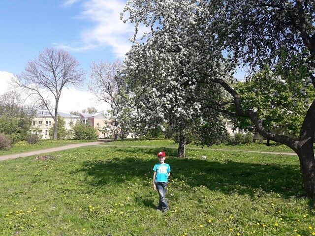  19203811  , 64 ,    -