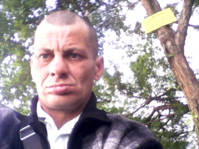 ���� 8195801 ������� ����, 52 ����, ���� ���������� � �����-����������