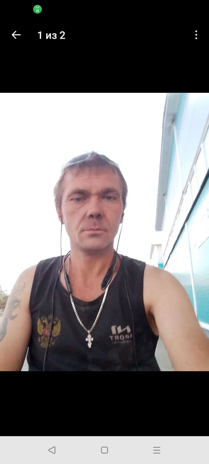  53835361  , 33 ,    