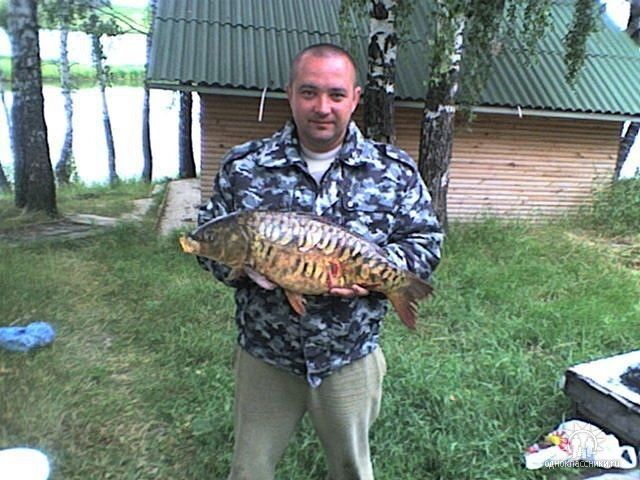 ���� 13662521 ������� ��������, 48 ���, ���� ���������� � �������