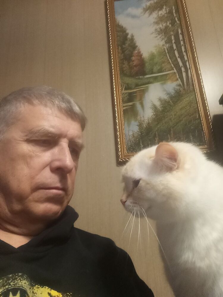 ���� 55652041 ������� ����, 64 ����, ���� ���������� � �����