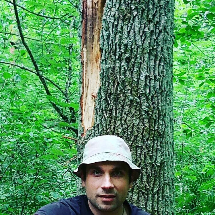 ���������� ������, ���� ������� ������, 38 ���, ������������ ��� ������, ����� � ���������