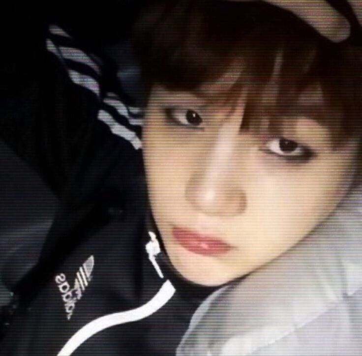 ���� 41940581 ����� ���, 19 ���, ���� ���������� � ��������