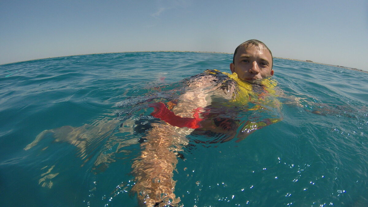 ���� 18181681 ������� �������, 40 ���, ���� ���������� � ��������