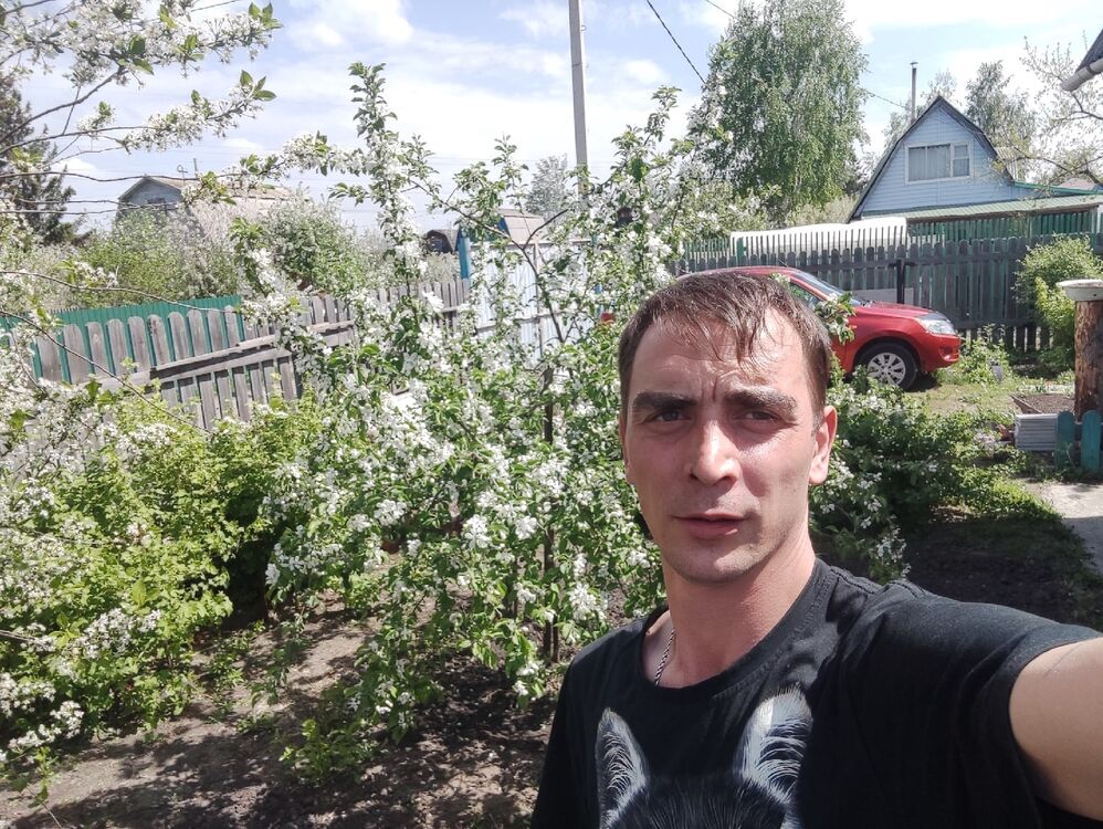 ���������� ����, ���� ������� �������, 38 ���, ������������ ��� c�������� ���������