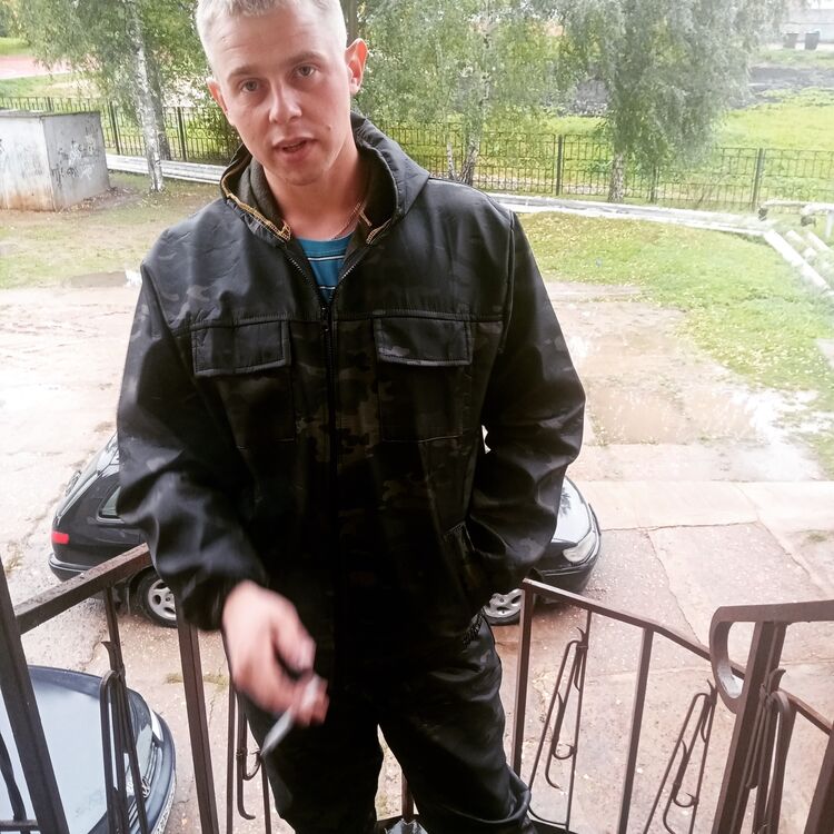  27381731  , 28 ,    