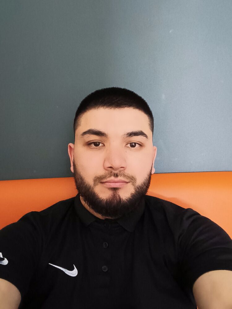  33208601  , 36 ,    -