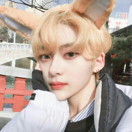 ���� 23717821 ����� �����, 23 ����, ���� ���������� � �����-����������